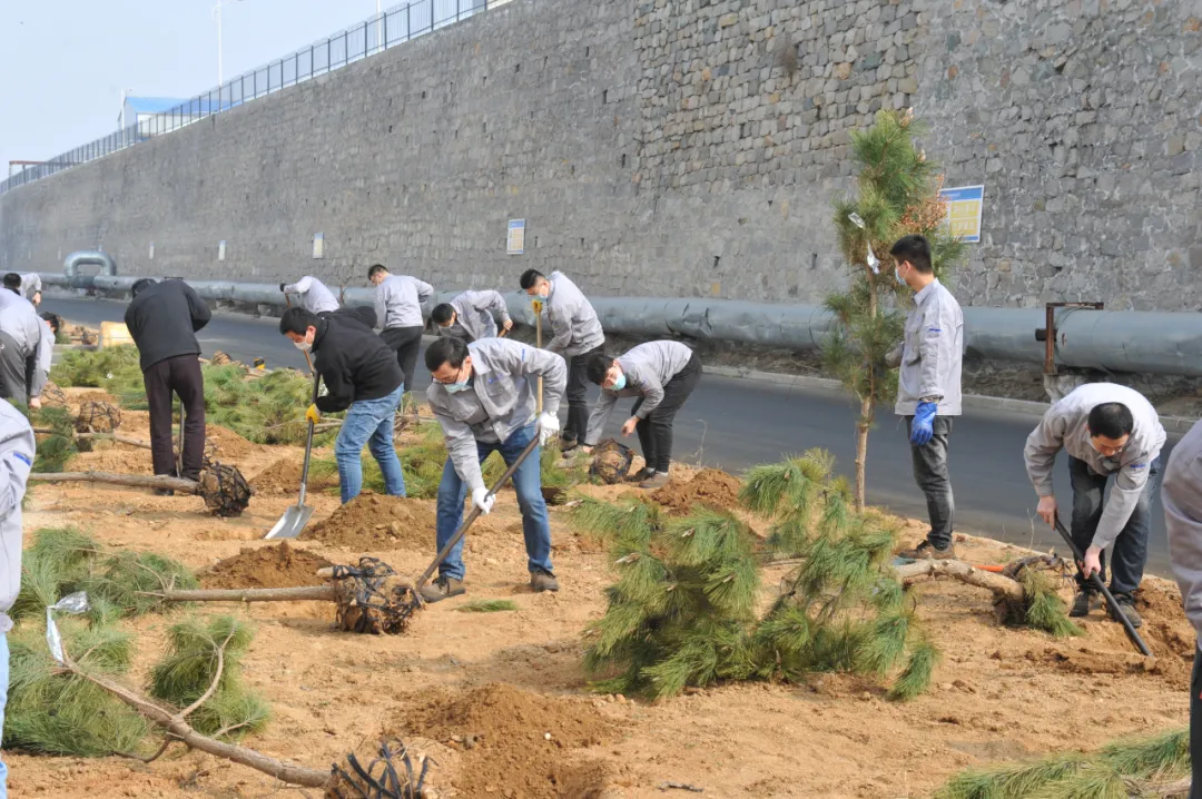 649.webp.jpg 649.webp.jpg