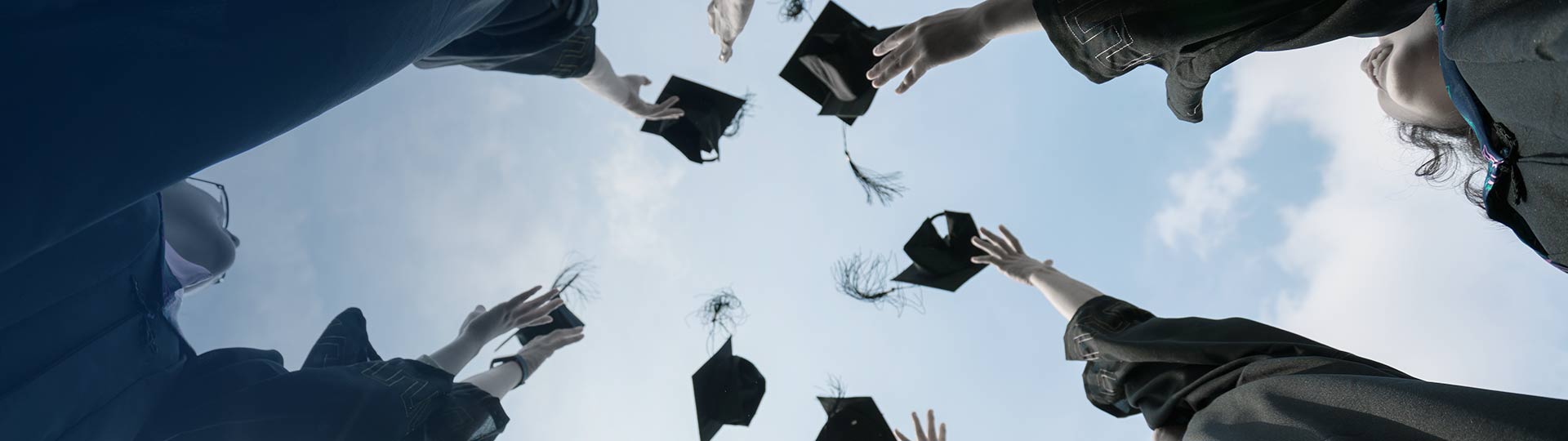 ��ѵ����