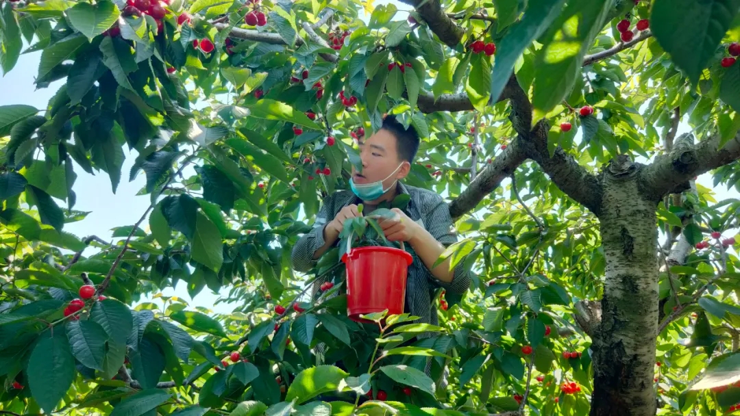 �������ʹ���-׷�󿵽�,����һ������