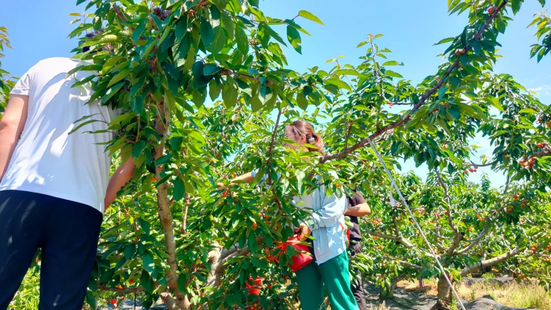 �������ʹ���-׷�󿵽�,����һ������